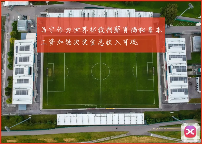 马宁作为世界杯裁判薪资揭秘基本工资加场次奖金总收入可观